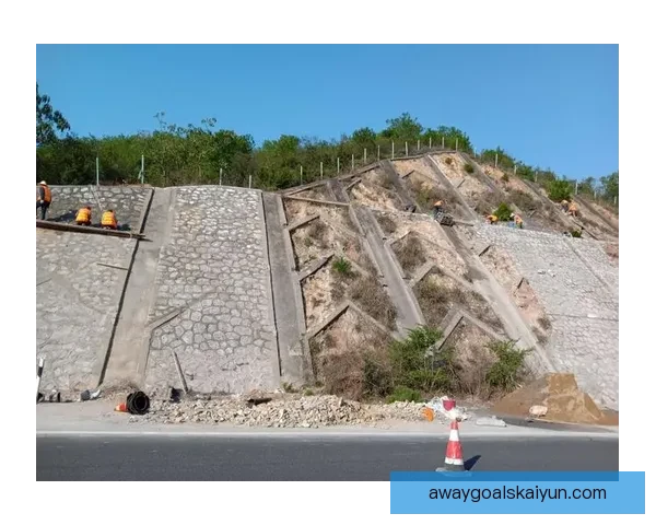 恩德里克职业生涯轨迹分析：未来发展备受关注